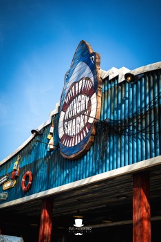 Walibi Belgium | Dock World